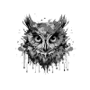 Owl Head Portrait Animal