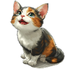 Cute kitten