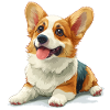 Cute little dog