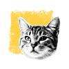 Premium Best Cat Dad Evere