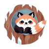 Cuddly Red Panda