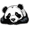 Panda Illustration