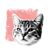 BEST CAT MUM