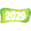 2029