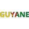 Drapeau Guyane