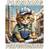 CAT Plumbing Perfectionists