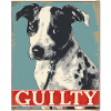 Chien coupable