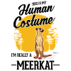 Déguisement Suricate Suricate Halloween