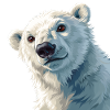 Eisbär