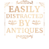 Antiquaire Collectionneur Passionné Antiquités