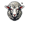 A Cool Sheep