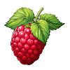 Raspberry Big Fruit