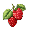 Raspberry sweet and juicy