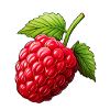 Raspberry single