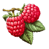 Framboise Double Fruit
