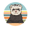 Ferret Owner Ferret