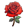 Red Rose