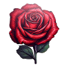 Rose red