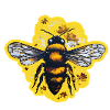Honey bee in summer