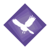 Oiseaux Oiseaux volants