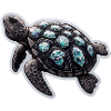 Diamond turtle