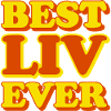 Liv First Name Funny Gift