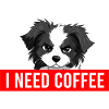 Angry Collie - I NEED COFFEE
