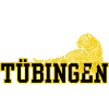 Tübingen, ma ville !