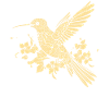 Hummingbird, Flowers, Flower Bird