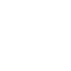 Hummingbird, Flowers, Flower Bird