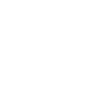Année du Dragon 2024