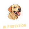 Hund Labrador