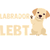 Hund Labrador