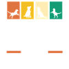 Hund Labrador