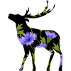Hirsch