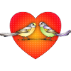 Bunte Vögel