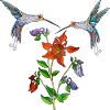 Bunte Vögel
