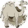 Kamel