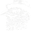 Raven