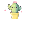 Drôle de cactus succulent