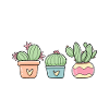 Funny Succulent