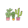 Drôle de cactus succulent