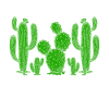 Funny Succulent Cactus
