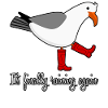 Seagull Rain Boots Gull