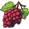 Grapes Symbol