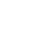The Wall Street Millionaire