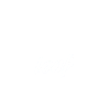 Professionnel Leaf Peeper Feuilles d’automne