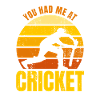 You Had Me At Cricket