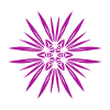 Star Flower