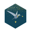 Oiseau étoilé